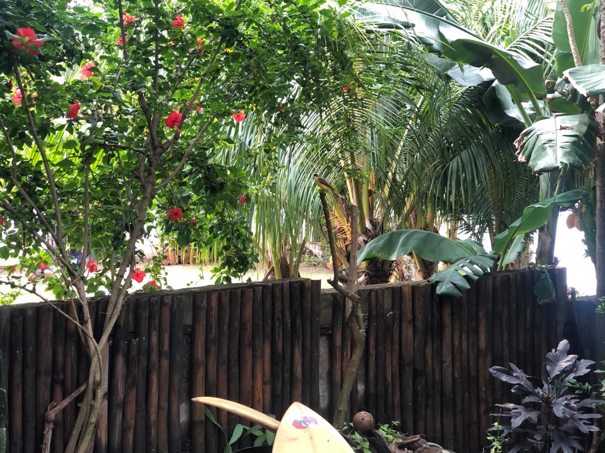 Bed and Breakfast El Marabu Chill'N Surf Aposentillo Екстер'єр фото