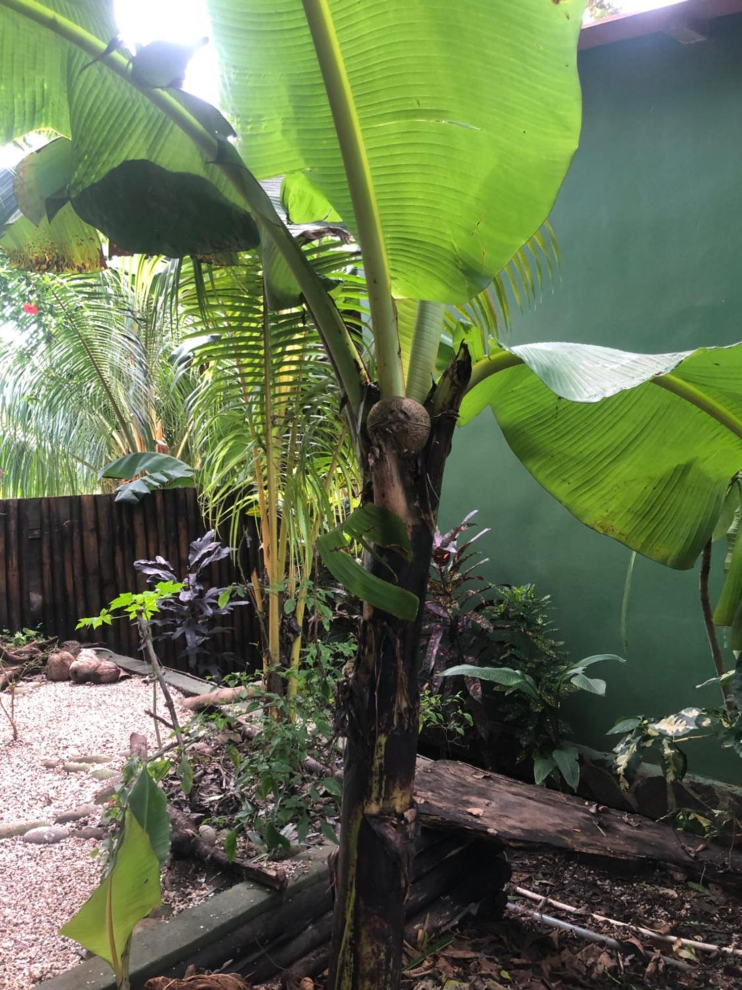 Bed and Breakfast El Marabu Chill'N Surf Aposentillo Екстер'єр фото