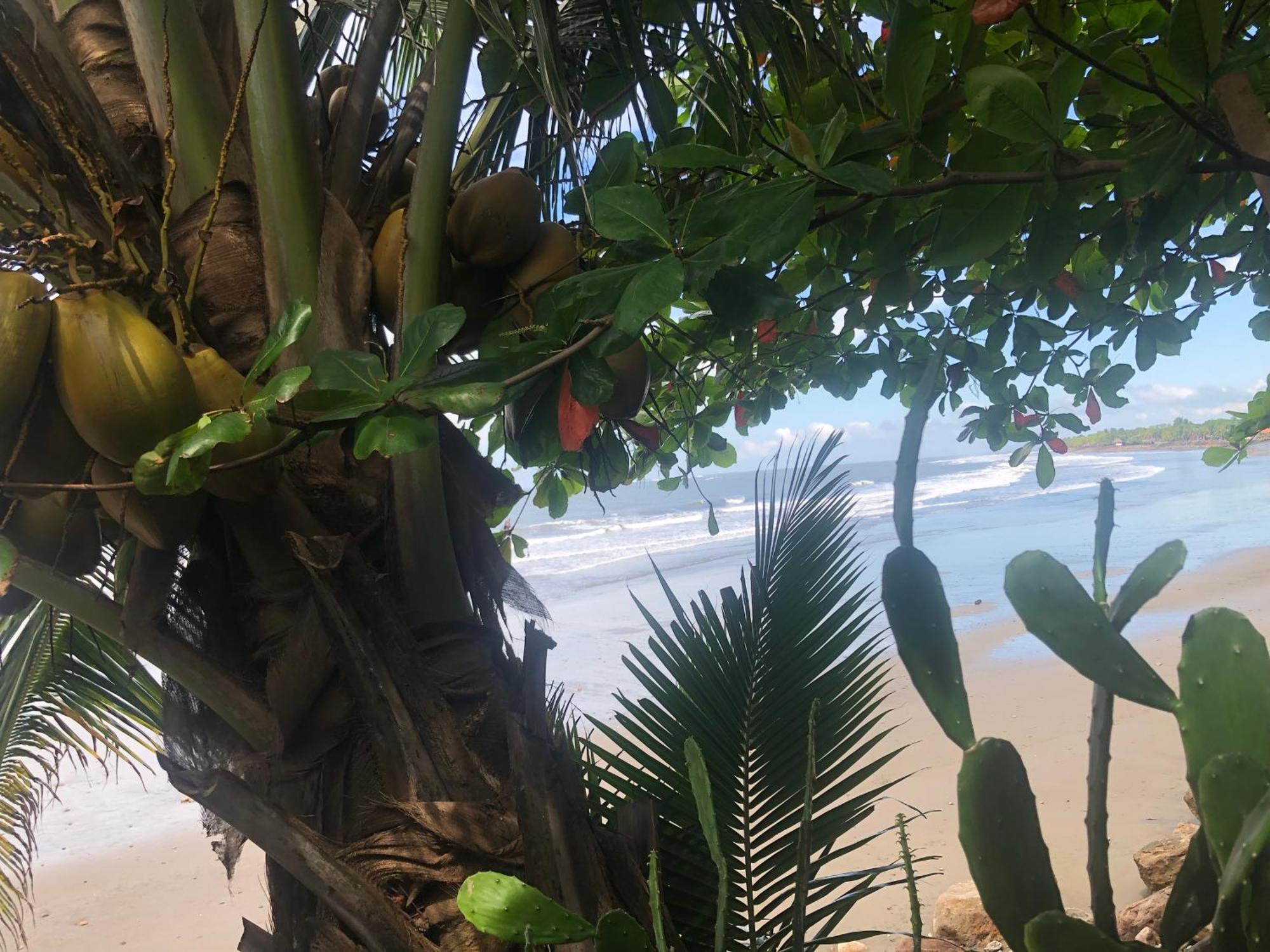 Bed and Breakfast El Marabu Chill'N Surf Aposentillo Екстер'єр фото